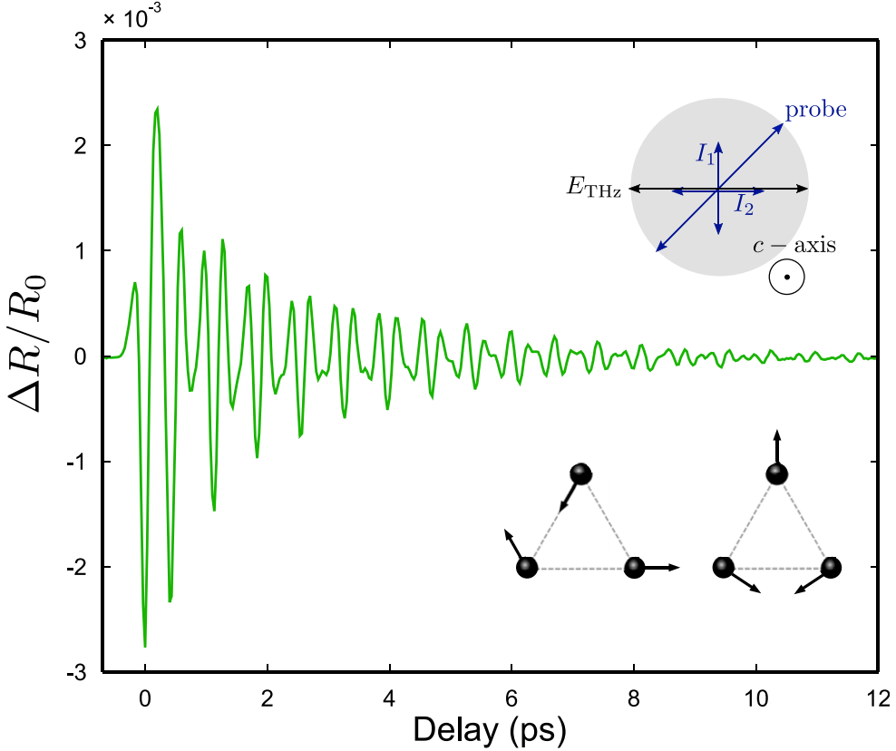 Enlarged view: Raman probe