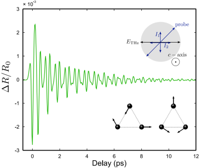 Raman probe